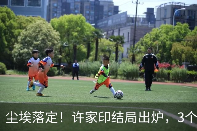 尘埃落定！许家印结局出炉，3个女人被他连累，白珊珊最冤枉